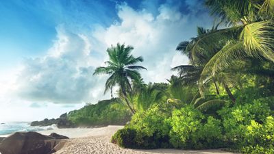 Aqua Expeditions plans to offer Seychelles itineraries of five and nine nights that may be combined for a 14-night cruise.