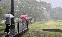 AmaWaterways guests tour Choeung Ek, a killing field in Cambodia outside of Phnom Penh that was once an orchard, in the rain with umbrellas provided by the company.