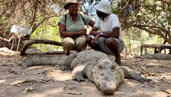 Tours editor Nicole Edenedo gets up-close and personal with a crocodile at Kachikally Crocodile Pool during a call on Variety Cruises' West Africa itinerary. Tours editor Nicole Edenedo gets up-close and personal with a crocodile at Kachikally Crocodile Pool during a call on Variety Cruises' West Africa itinerary.