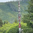 Viewing eagles and towering totems on a tour of Ketchikan